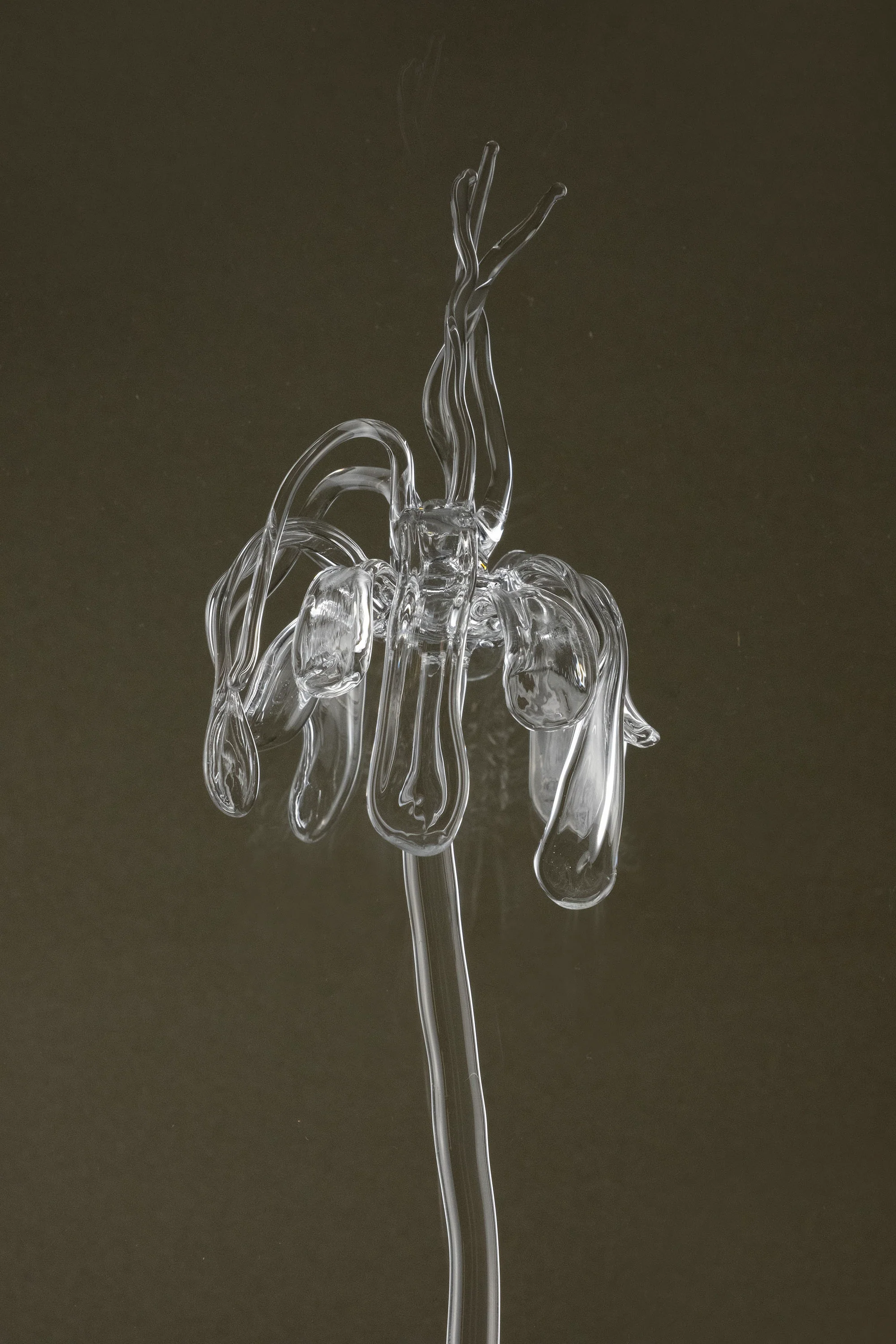 Glasblume 02 - Image 4