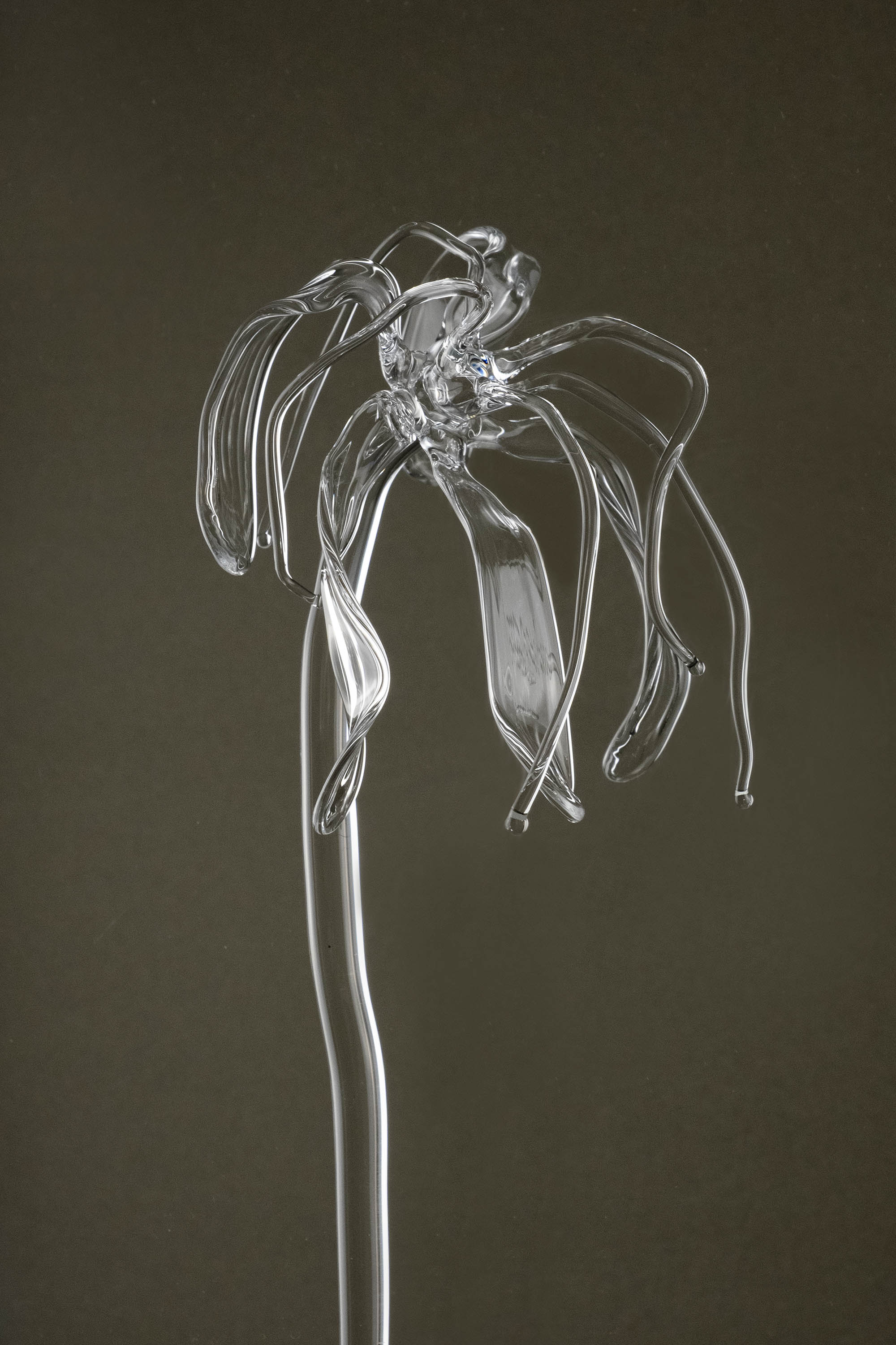 Glasblume 04 - Image 4