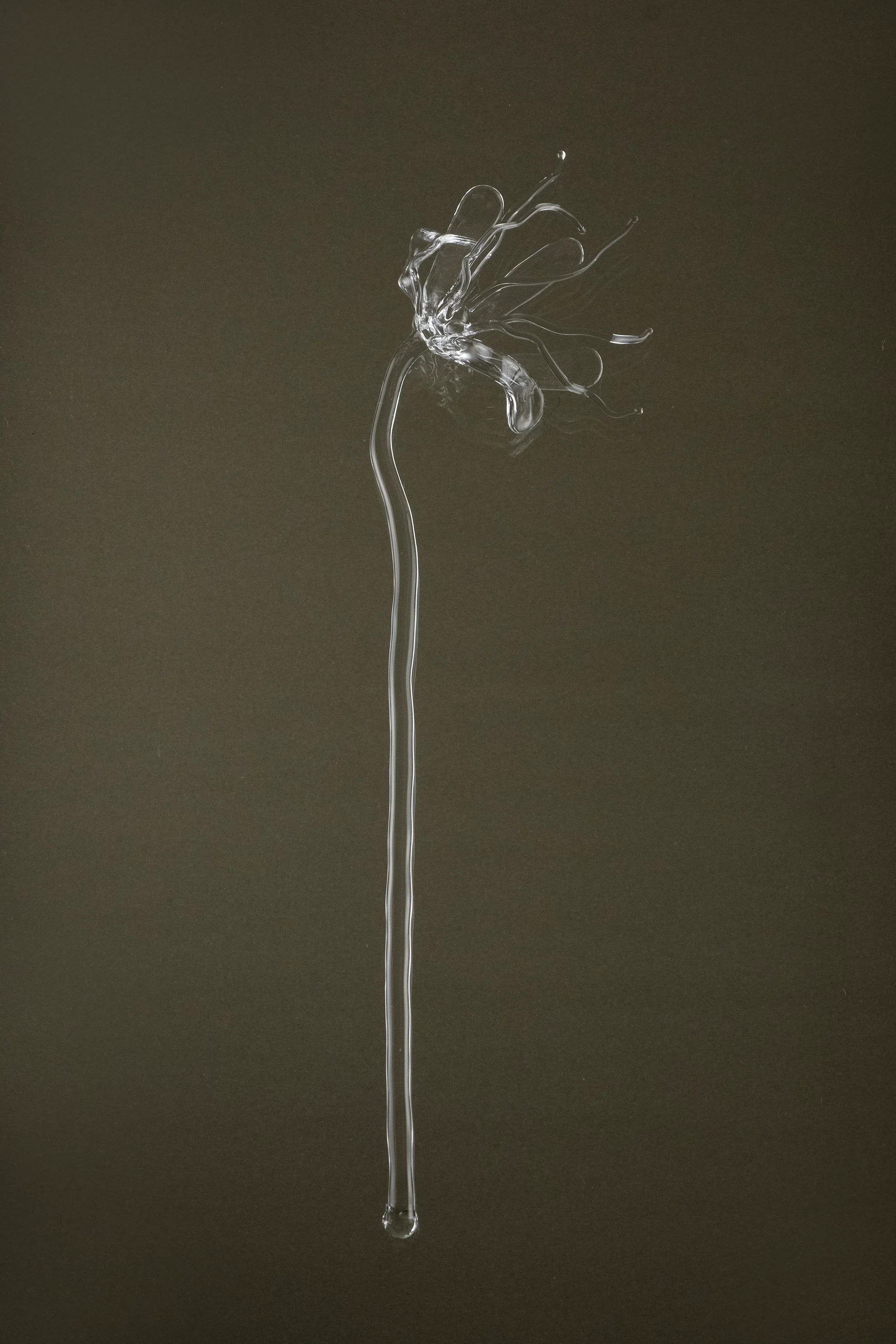 Glasblume 05 - Image 4